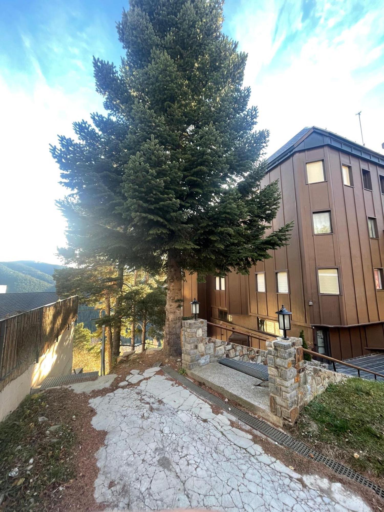 Apartamento Acogedor En La Molina, 2Hab, Wi Fi La Molina  Exterior foto
